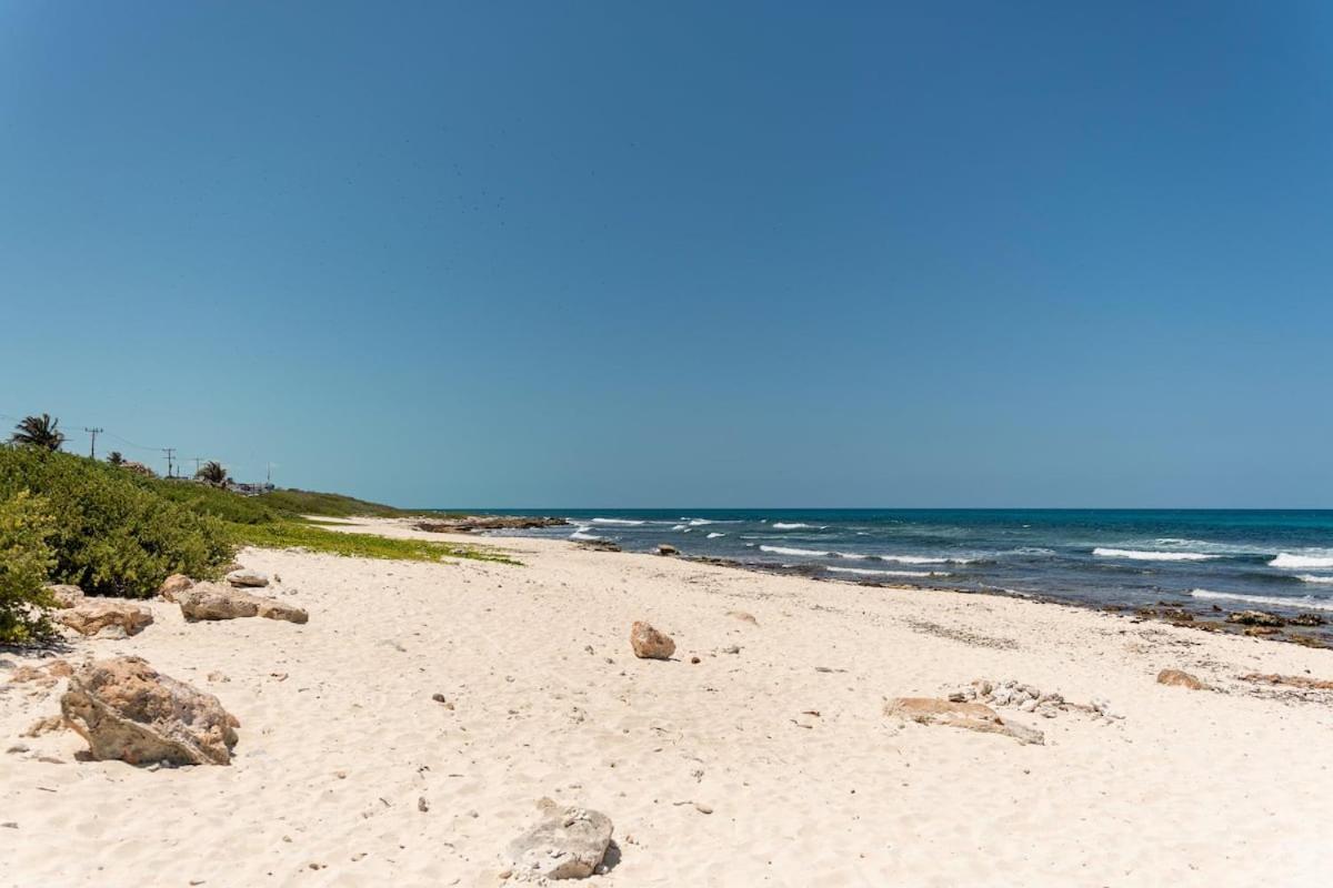 Villa With Ocean View, Pool, Restaurant And Rooftop Isla Mujeres Bagian luar foto